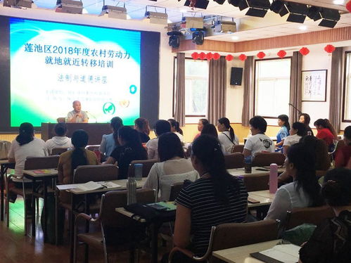 育嬰從業人員的法制與道德培訓 構筑職業素養的堅實基石
