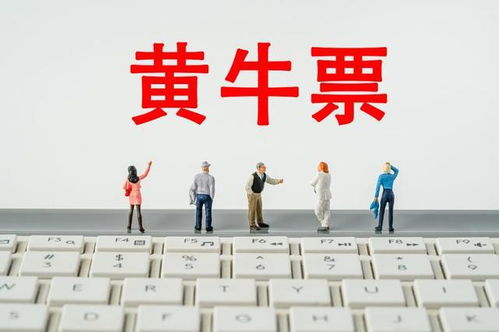 演唱會門票找“代搶”風險大，票務代理服務暗藏哪些貓膩